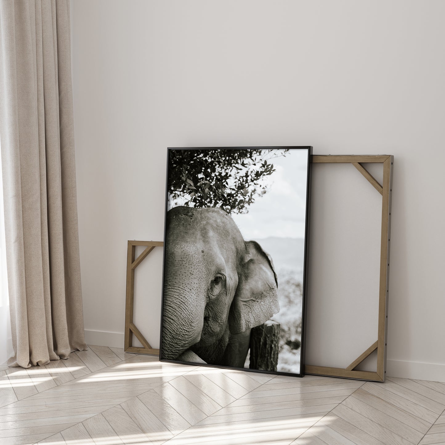 Eyes of wisdom - Black & White